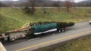Book your new york/newark to toronto flight today. Christmas Tree From Oneonta Ny Transported To Rockefeller Center Youtube