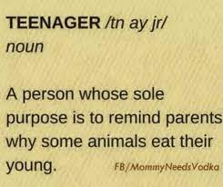 Yep, you're 16 and pregnant. Teenage Memes For Anyone Who Has To Deal With The Surly Non Adults Memebase Funny Memes