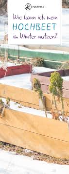 Hochbeet Im Winter Nutzen Ideen Tipps Hochbeet Garten Hochbeet Palettengarten