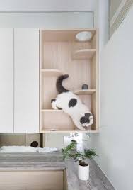 Pin By Ozel Harekat On Reis Cat Furniture Design Micro Apartment Residential Interior Design