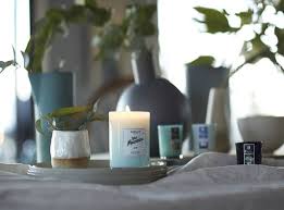 Our line of pet odor exterminator candles, sprays, and car hangers use natural enzymes to neutralize pet odors. 10 Best Scented Candles For Your Home 2021 Fragrance Guide Learn Relaxation Techniques