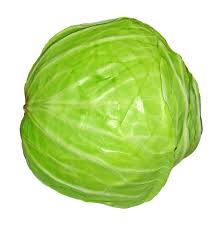 Masakan oriental dan juga masakan kontinental merupakan jenis olahan, yang memiliki karakter dan ciri khas tersendiri. Sayur Kol Ternyata Punya 4 Jenis Ini Dia Manfaatnya Untuk Tubuh Semua Halaman Bobo