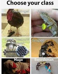 Fighter fighting style height weight; Memes On Twitter Choose Your Fighter Not Oc