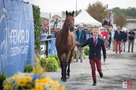 Bryan balsiger equestrian jumping team. Robin Godel And Grandeur De Lully Ch Sui Eventing Nation Three Day Eventing News Results Videos And Commentary