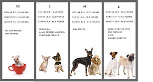 Large Dog Breed Size Chart Bedowntowndaytona Com