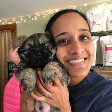 Holistic Treatment For Cancer In Dogs Cats A Basic Guide Holistic Animal Wellness Alternative Vet Of Nh