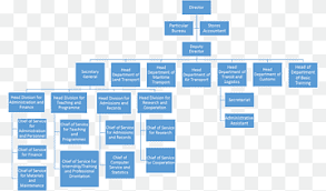 Organizational Chart University Of Bamenda Logistics Transport Others Company Text Service Png Pngwing