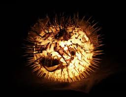 7 10 Lighted Puffer Fish Real Blowfish Table Lamp Taxidermy Animal Light Tiki Bar Nautical Decor Lighting Vi Fish Lamp Fish Sculpture Lighting And Ceiling Fans