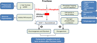 Image result for Hereditary Fructose Intolerance