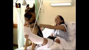She is an actress, known for remédio santo (2011), dancin' days (2012) and feitiço de amor (2008). Sofia Duarte Silva S Feet Wikifeet