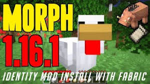 Place the mod you have just downloaded (.jar file) into the mods folder. Identity Mod 1 16 1 Minecraft How To Download Install Morph Mod 1 16 1 With Fabric On Windows Youtube