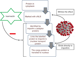 Image result for Ivermectin