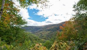 Check spelling or type a new query. Hunter Ny Shop Local Greene County Mountain Towns
