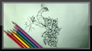 See more ideas about peacock drawing images, peacock drawing, drawing images. Pencil Drawing Of Peacock Bestpencildrawing