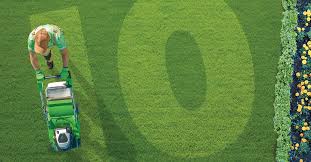 Our team is divided into three divisions, individually focused on one area of your yard, including your lawn, pest control. 10 Top Turf Tips Lawn Solutions Australia
