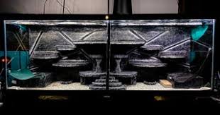 How to make a realistic 3d background for your aquarium or reptile tank in this article i would like to teach you how to make a more realistic backdrop for your fish or reptiles home. Diy Split Aquarium Terrarium Background For Reptiles 6 Steps With Pictures Instructables