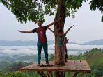 Taman wisata ds.pulau buayo kabupaten sarolangun, jambi : Menikmati Kopi Di Negeri Di Atas Awan Wisata Bukit Tempurung Sarolangun Yang Baru Halaman All Tribun Jambi