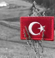 yigitce bayrak icin can verip sehit olanlarin vatanidir turkiye bayrak amerikan tarihi nadide fotograflar