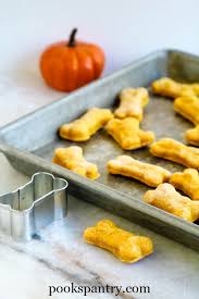 Help keep your dog fit with this low calorie dog treat recipe featuring zucchini and a punch of meaty flavor. Soft Pumpkin Dog Treats Pook S Pantry Recipe Blog