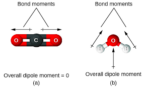 We did not find results for: Nh3 Lewis Dot Structure Dipole Novocom Top