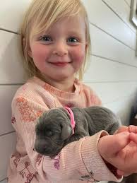 Mom and everyone are doing great!