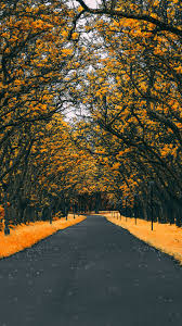 We did not find results for: Nature 4k Hd Mobile Wallpapers Wallpaper Cave