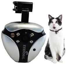 Cat collar light up tracking with cat camera and rf or gps tracking options. Best Pet Tech Cat Dog Trackers Smart Toys Pet Cameras