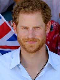 Prince Harry Follows in Mum's Footsteps to Clear Landmines in Angola