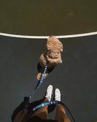 sweet nothings + new beginnings