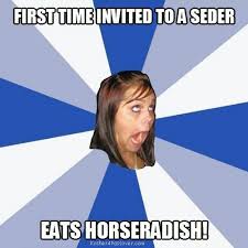 Collection Of Hilarious Passover Memes 2022 Guide For Geek Moms