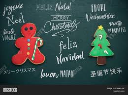 We did not find results for: Homemade Cookies Shape Image Photo Free Trial Bigstock