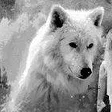 Check spelling or type a new query. Sophie Hoedts Cappelle La Grande Saint Pol Sur Mer Copains D Avant