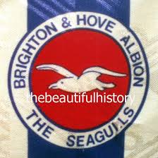 Brighton fc badge brighton and hove albion supporters club enamel football badge. Brighton Hove Albion The Beautiful History