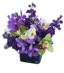We did not find results for: Cactus Flower 12 E Camelback Rd Phoenix Az 85012 Yp Com