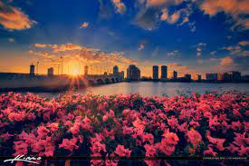 Michael scott powell, 47, passed away wednesday, may 19, 2021, in hospice surrounded by his family after a long struggle with cancer. West Palm Beach Skyline Flower With Intracoastal Waterway Royal Stock Photo