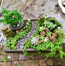 Tabletop Garden Succulents Plants Garden
