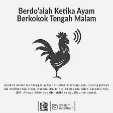 Ketika Mendengar Bunyi Ayam Berkokok Tengah Malam Berdoalah Kutipan Alkitab Kata Kata Indah Kata Kata Mutiara