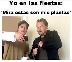 No obstante, no siempre se celebró con regalos y cartas. Amante De Las Suculentas Tienes Que Ver Estos Memes Panorama