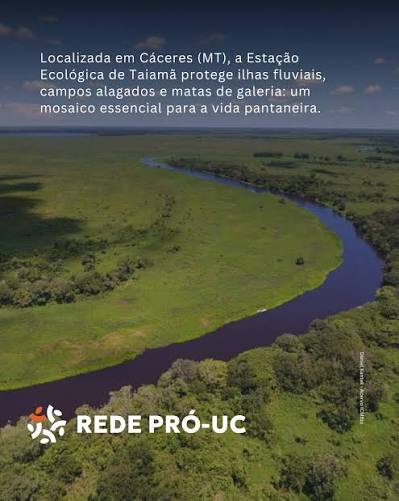 Rede Pr&oacute;-UC | A Esta&ccedil;&atilde;o Ecol&oacute;gica de Taiam&atilde; &eacute; um santu&aacute;rio no cora&ccedil;&atilde;o do Pantanal: abriga a maior concentra&ccedil;&atilde;o de on&ccedil;as-pintadas do planeta e protege... | Instagram