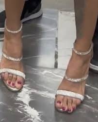 Dandys (@El_Dandys)  X