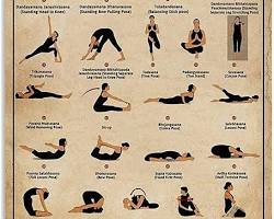 Image of Bikram Yoga