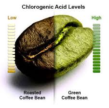 Good Stuff Green Coffee Bean Green Coffee Extract Green Coffee Bean Extract