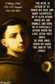 Pray for us our dear Saint Anthony