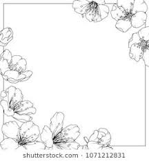 Cherry Sakura Aliche Tree Flowers Spring Bloom Blossom Detailed Black White Line Design Drawing Outline Sk Cherry Blossom Drawing Flower Drawing Flower Border