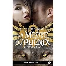 La Meute du Phénix, T7 : Patrick Hardy (French Edition) eBook : Wright,  Suzanne, Bourbonnière, Jocelyne: Amazon.ca: Kindle Store