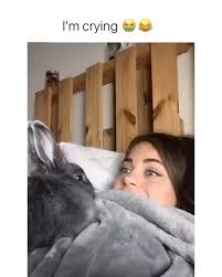 pin by dominik hauser on hilarious video funny animal videos baby animals funny funny animals