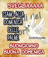 Nel calendario liturgico cattolico, con la domenica delle palme ha inizio la settimana santa ma. 2020 Buona Domenica Delle Palme Immagini Da Condividere Buongiornocolcuore