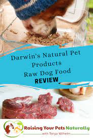 Best Raw Dog Food Reviews Darwin S Natural Pet Products Raw Dog Food Review Healthy Dog Food Recipes Dog Food Recipes Raw Dog Food Recipes