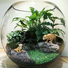 Mahmut Kirnik 3461 Teraryumlar Kavanoz Projeleri Terrarium