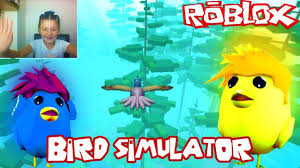 Roblox Kus Simulasyonu Kartal Bizi Yeme Bird Simulator Turkce Kus Kartal